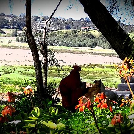 A La Folly Too The Old Workshop Bed & Breakfast Murray Bridge Luaran gambar