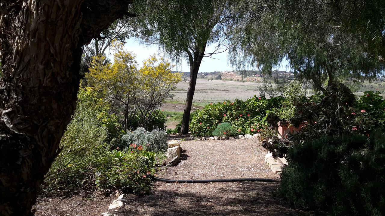 A La Folly Too The Old Workshop Bed & Breakfast Murray Bridge Luaran gambar